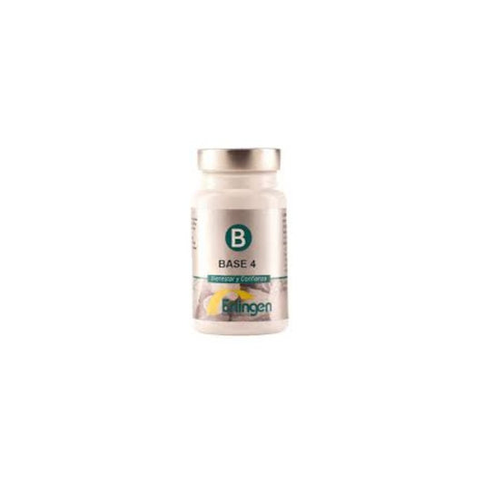 Erlingen Base 4 60 Comprimidos-1