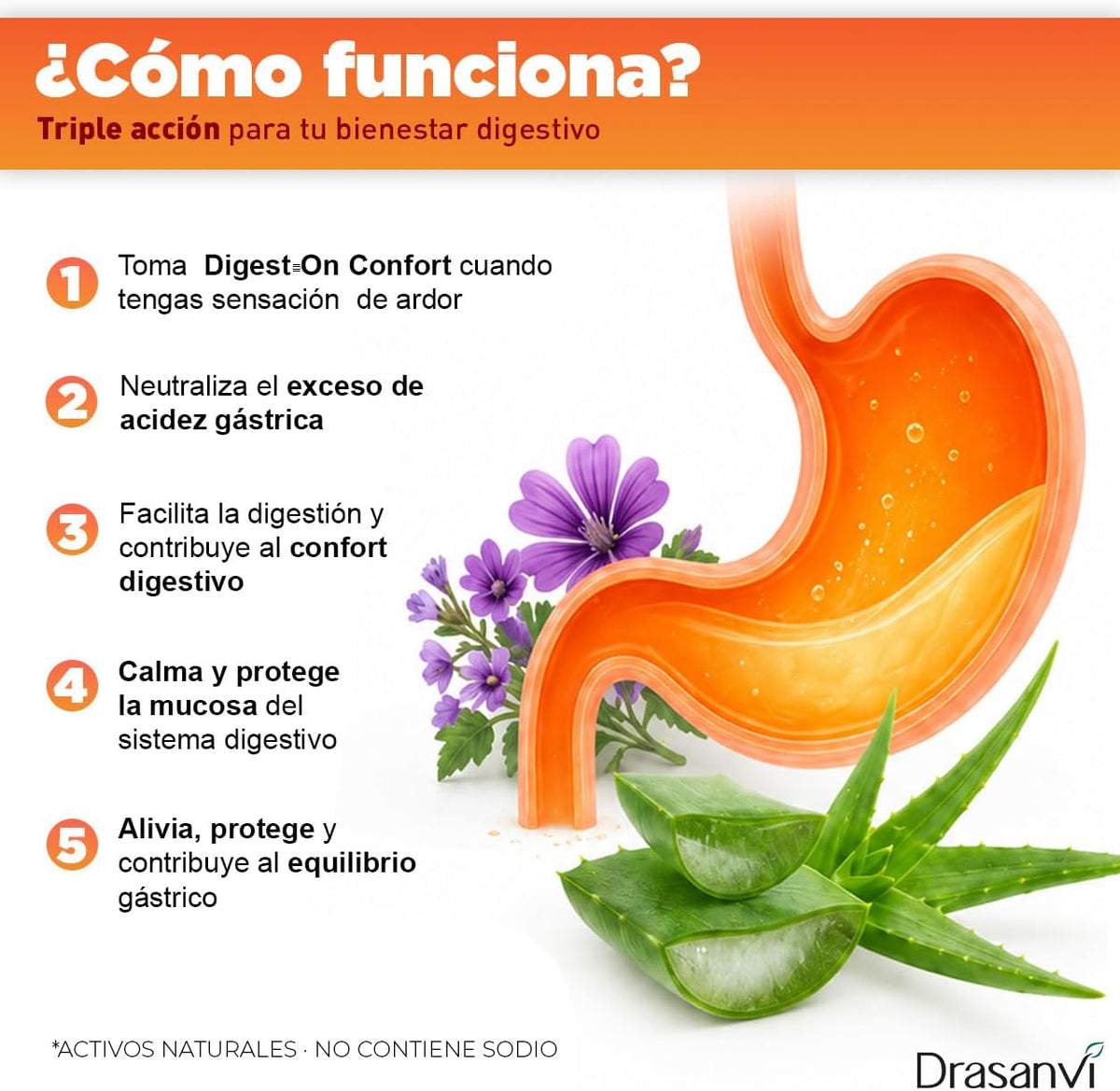 Drasanvi Digest-On Confort 30 comprimidos masticables