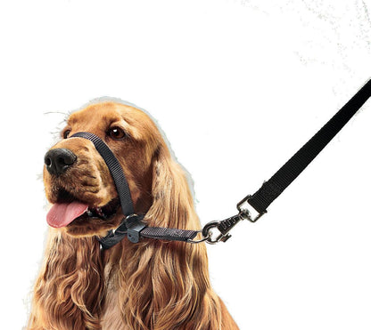 Product image for 11570