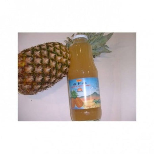 Int-Salim Zumo Piña Eco 200 ml-1