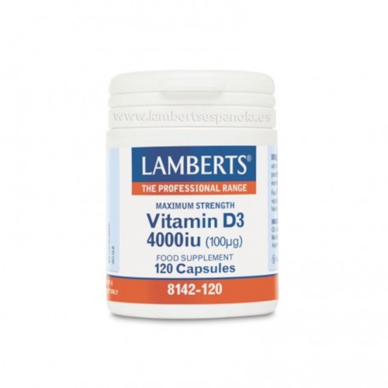 Lamberts Vitamina D3 4000 UI 120 Cápsulas-1