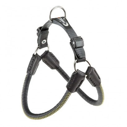 Product image for 17595