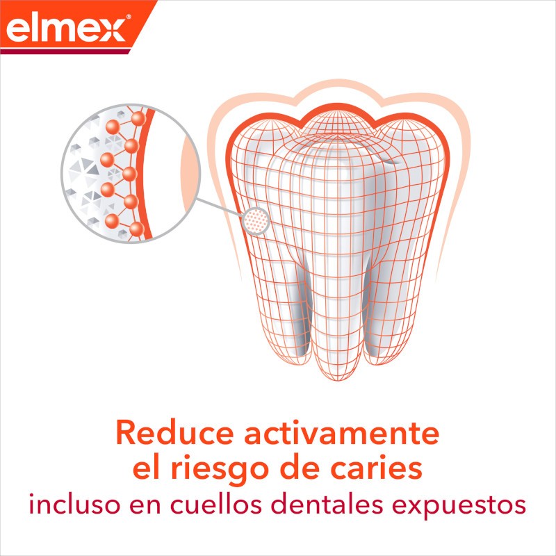 ELMEX Pasta de Dientes Anticaries Profesional Duplo 2x75 ml-5