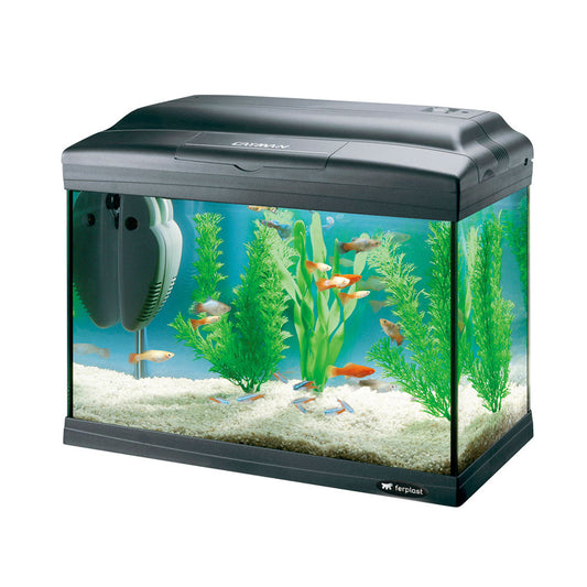 Product image for 15655