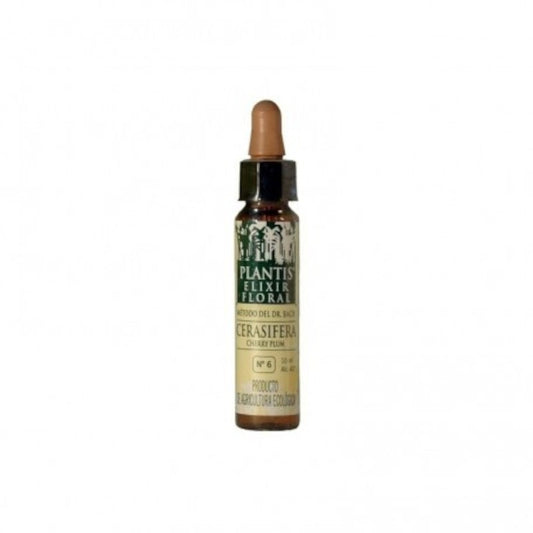 Plantis Cherry Plum Plantis Nº 6 10 ml-1