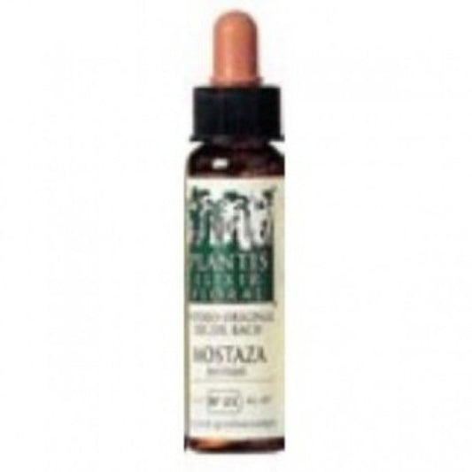 Plantis Mostaza-21 Elixir Floral (Dc. Bach) Eco 10 ml-1