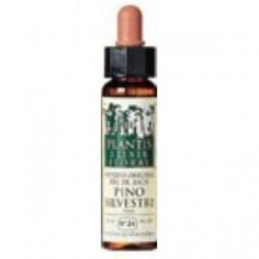 Plantis Pino Silvestre-24 Elixir Floral (Dr. Bach) Eco 10 ml-1