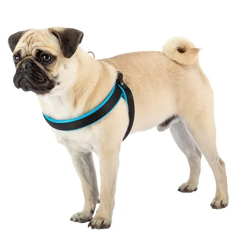 Product image for 14796