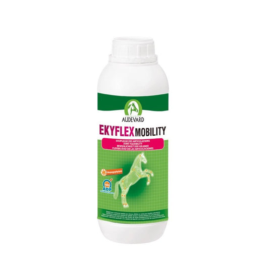 Product image for 8554