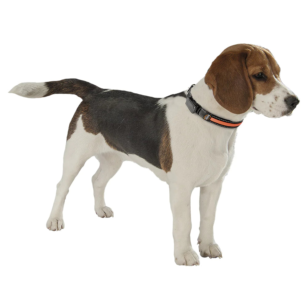 Product image for 14396