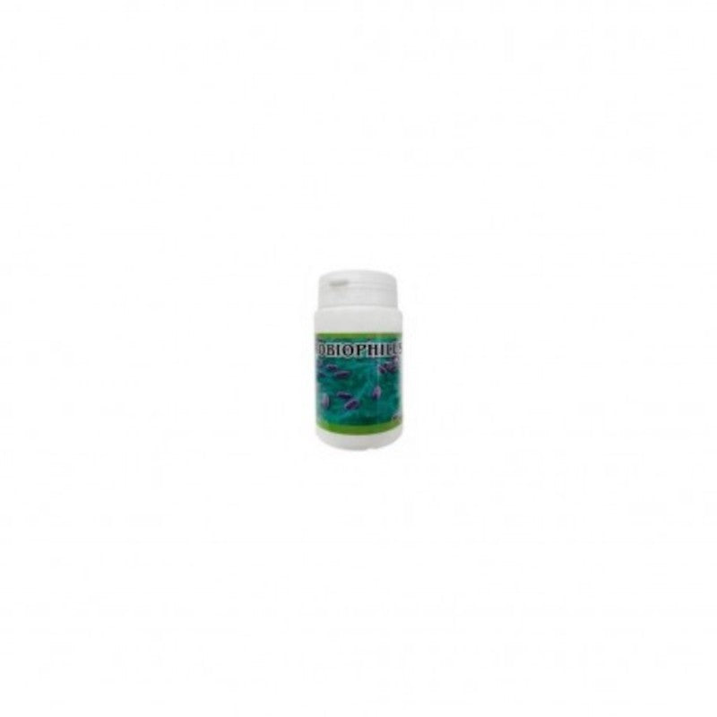 Treman Probiophilus 60 Cápsulas-1