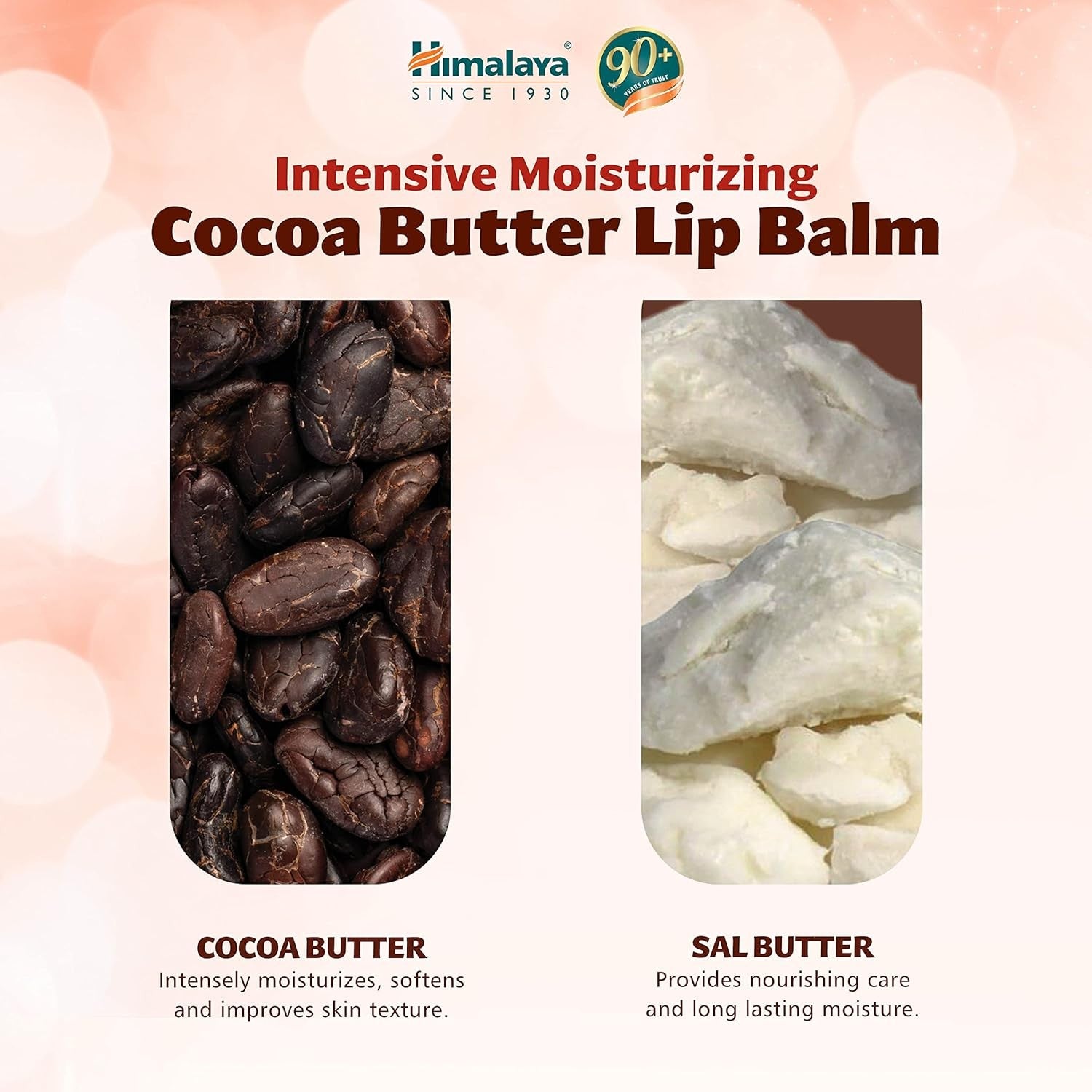 Himalaya Bálsamo Labial Manteca Cacao 4,5 g-3