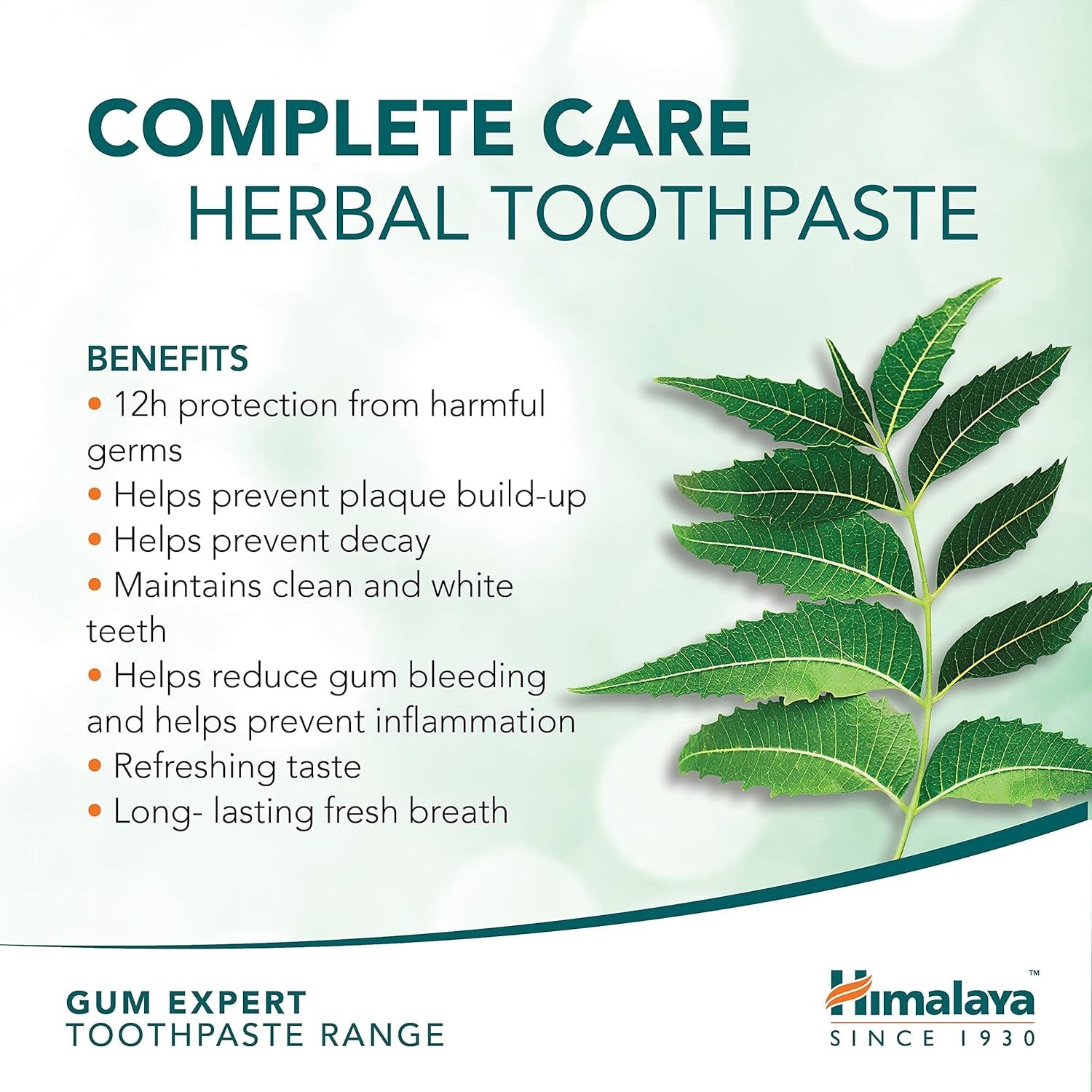 Himalaya Dentífrico Cuidado Completo 75 ml-4