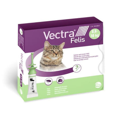 Product image for 19608