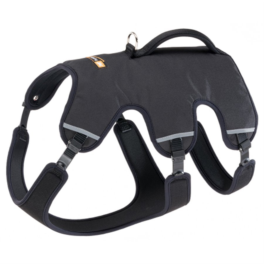 Product image for 15496