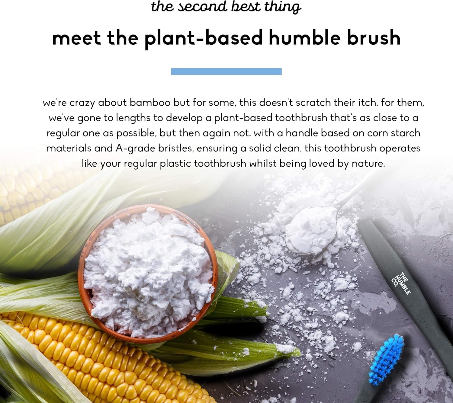 The Humble Co Cepillo Dientes Base Plantas Azul Morado 2 Unidades-5