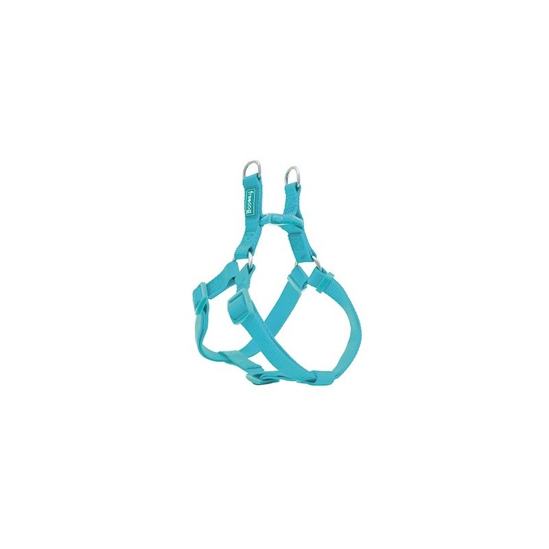 Product image for 15972