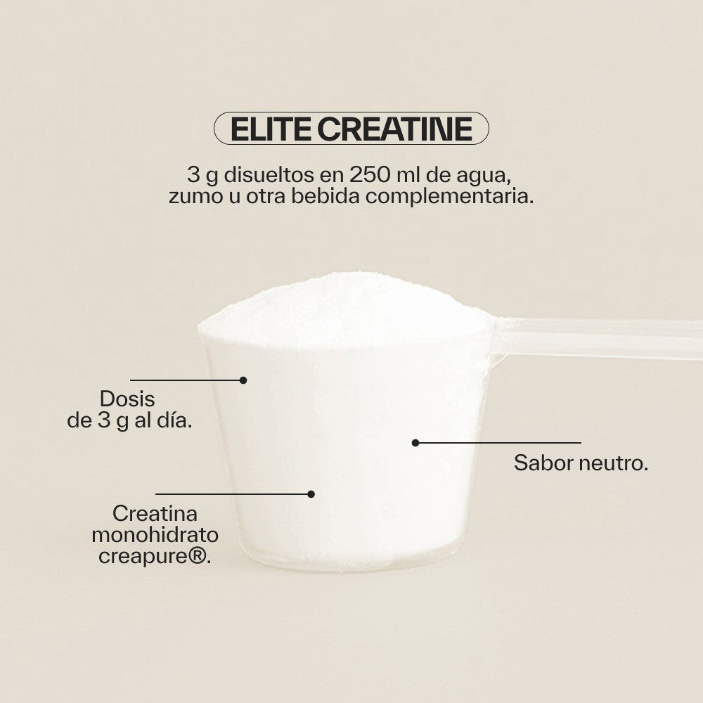 NDL Pro-Health Performance Elite Creatina 300 g-4