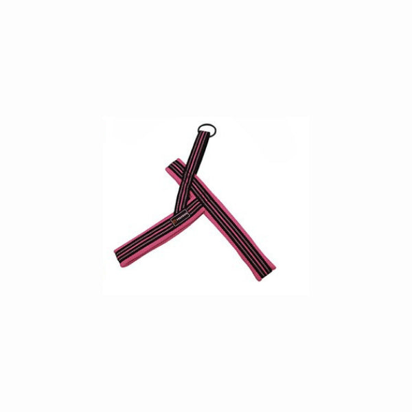 Product image for 15996