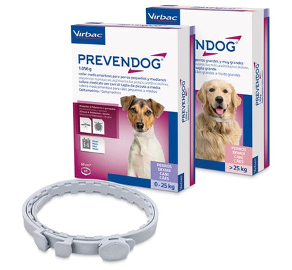 Product image for 19551