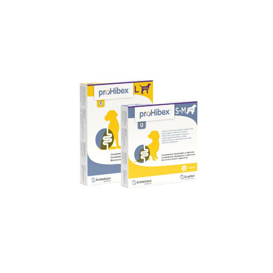 Product image for 13875
