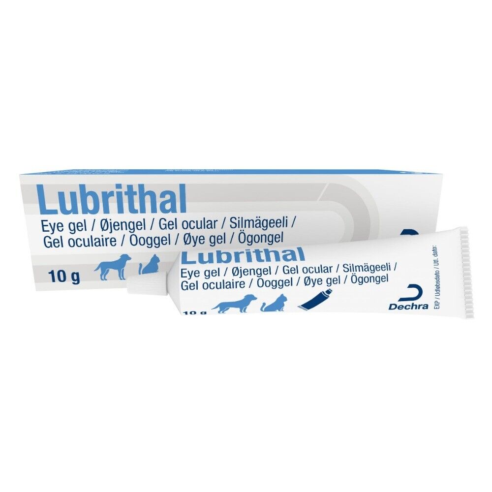 Product image for 12035