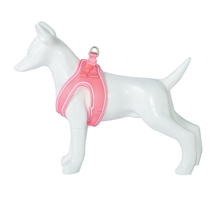 Product image for 11934
