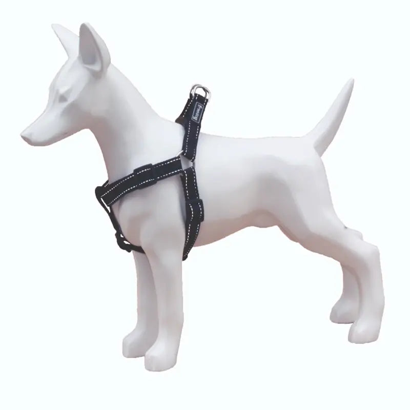 Product image for 16169