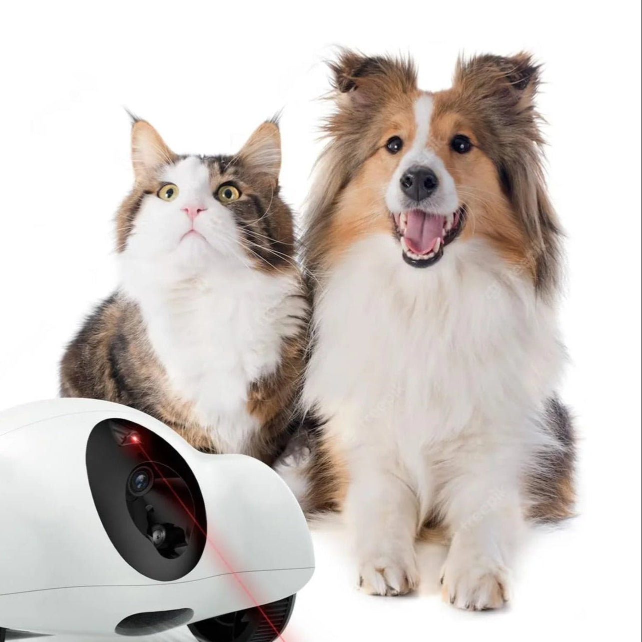 Product image for 17987