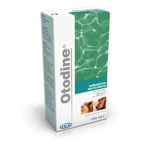 Product image for 16703