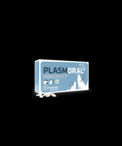 Product image for 16763