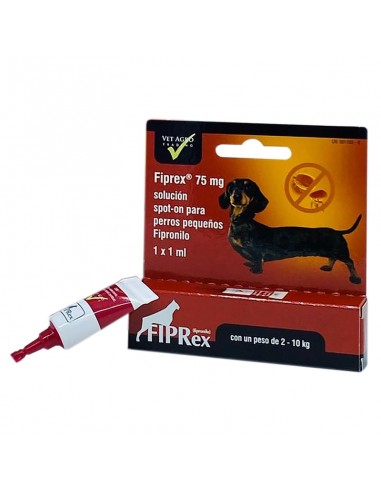 Product image for 19338