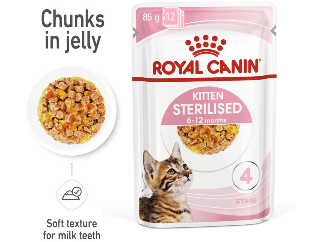 Product image for 16822