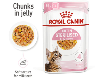 Product image for 16822