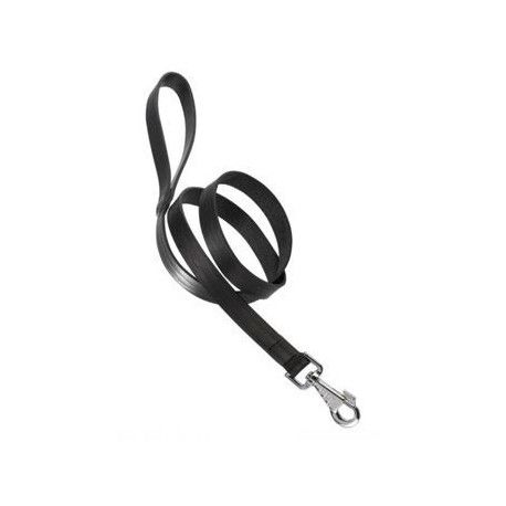 Product image for 11581