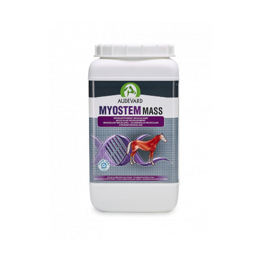 Product image for 9881