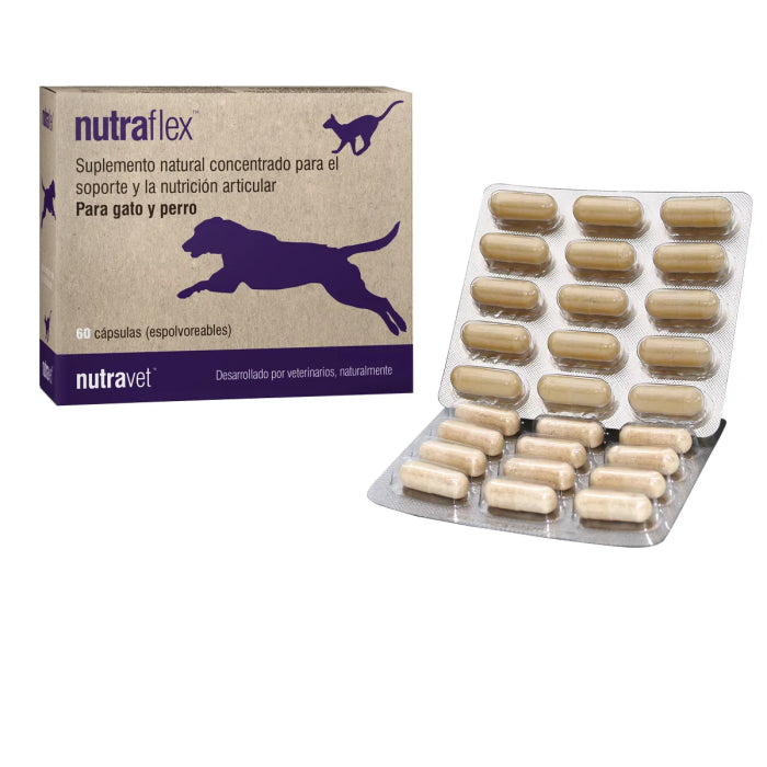 Product image for 16885
