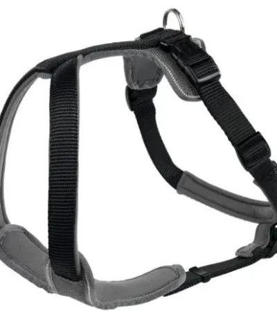 Product image for 17467