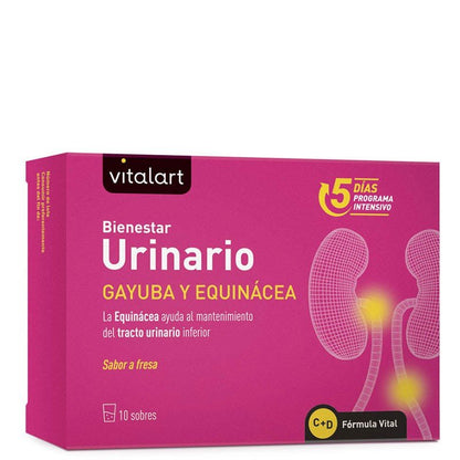 Vitalart Bem-Estar Urinário 10 saquetas