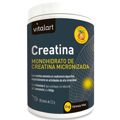 Vitalart Creatina suplemento em pó 256 g