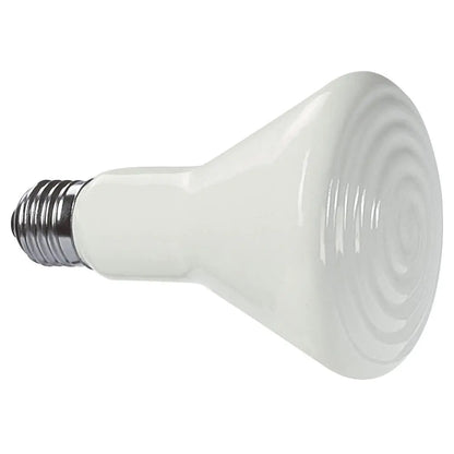 Product image for 14452