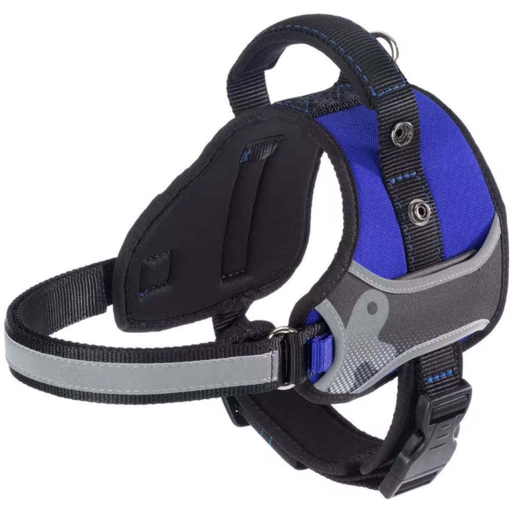 Product image for 15009