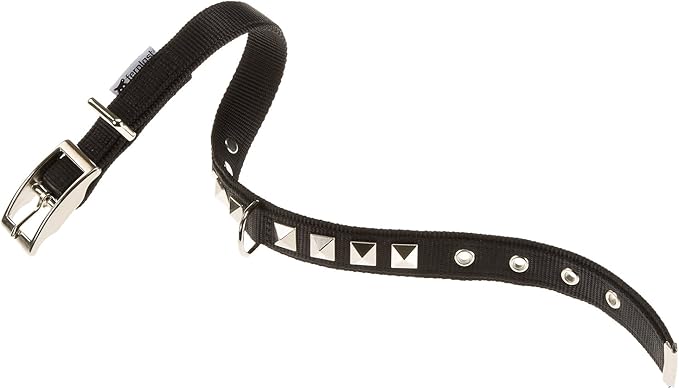Product image for 14364