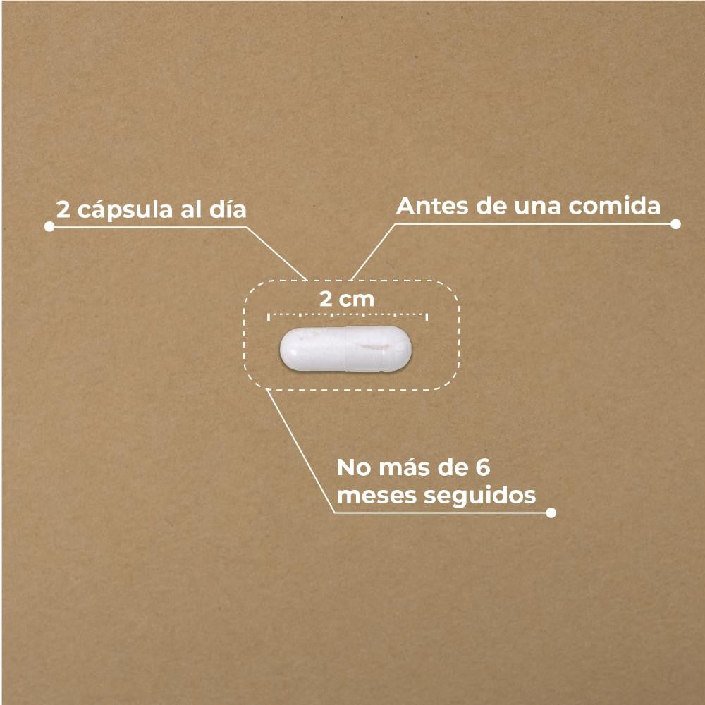 Kobho Labs Pre-Post Probiótico 60 Cápsulas-7