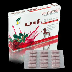Product image for 9191