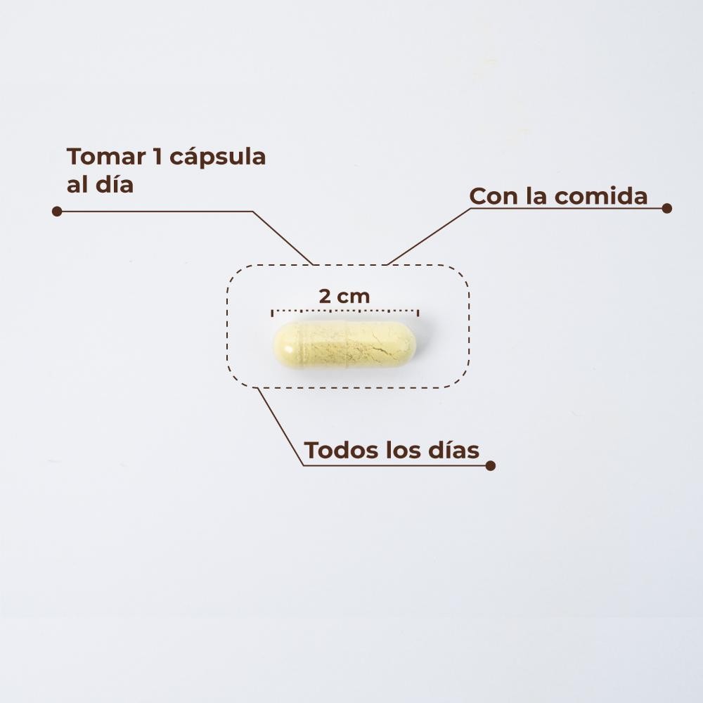 Kobho Labs Trans Resveratrol + Quercetina 60 Cápsulas-6