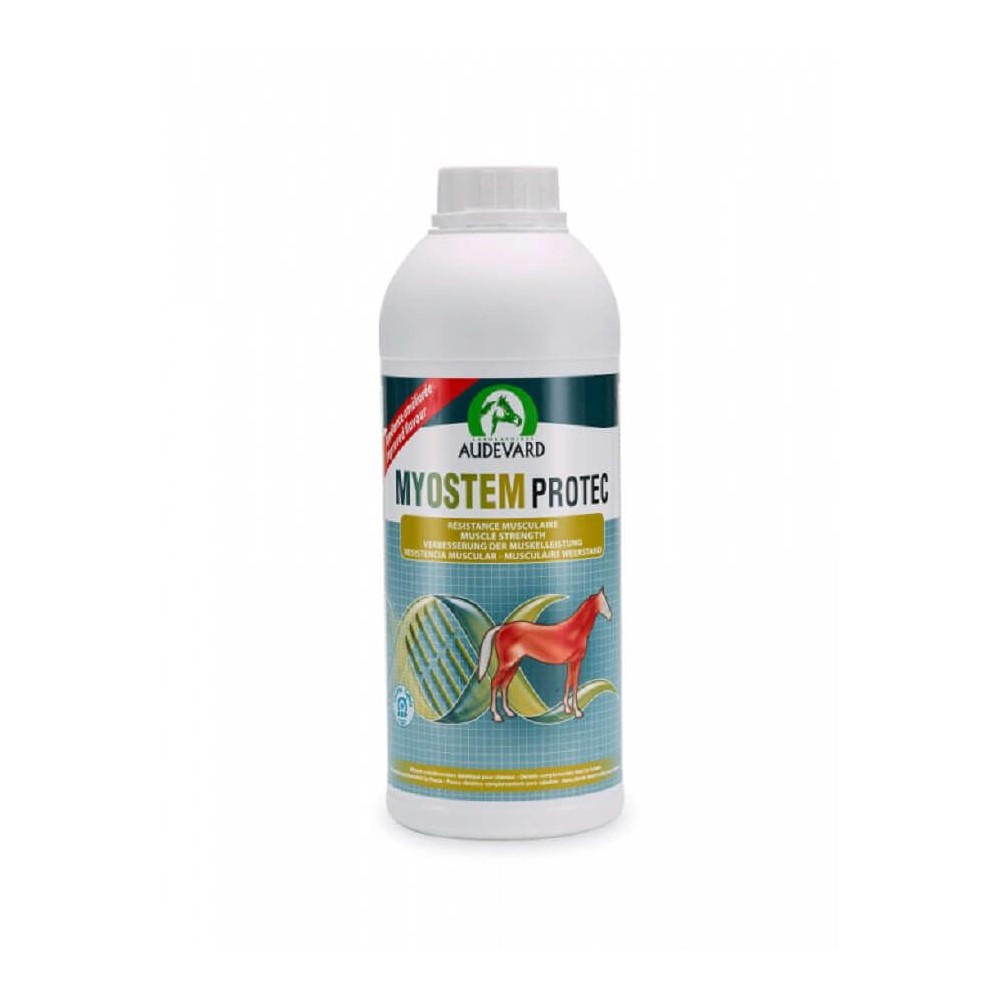 Product image for 10051