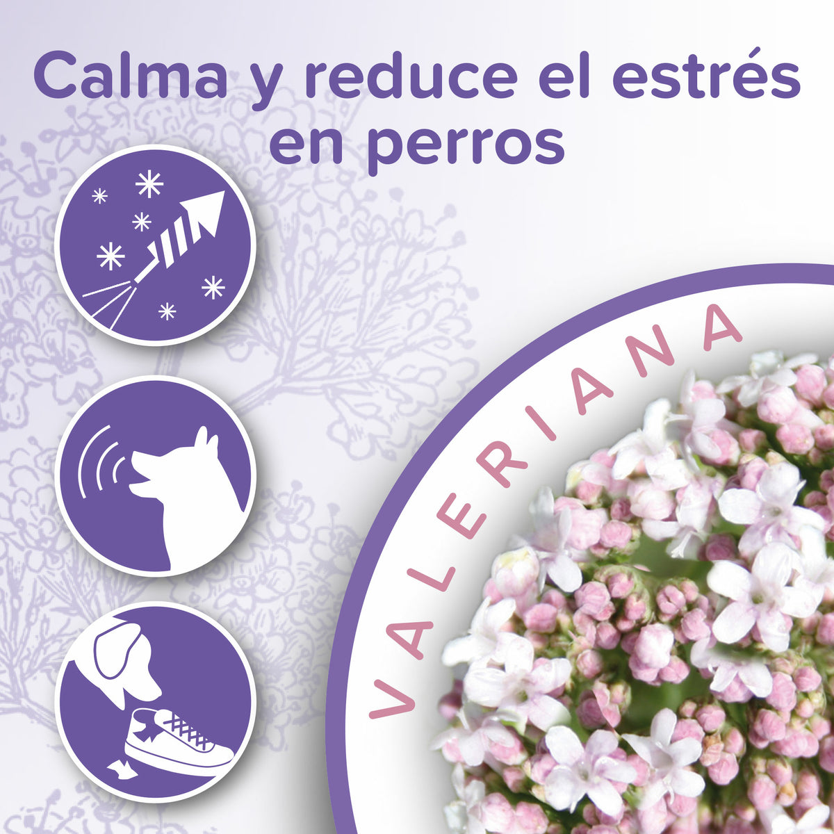 Beaphar Collare Calming Anti-estresse 65cm