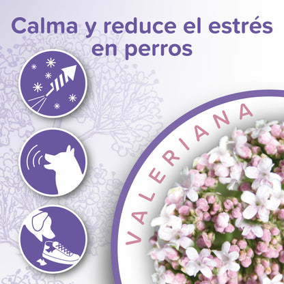 Beaphar Collare Calming Anti-estresse 65cm