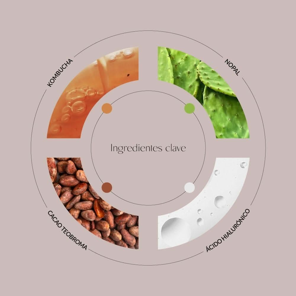 Byoode Nopal & Kombucha Metaphor 125 ml-3